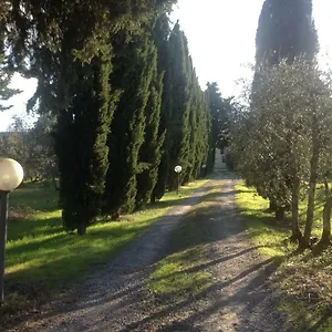 Sunshine Alloggio in famiglia
